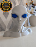 3D Printed Alien Bust Grey Alien Head Blue Eyes UFO Sci-Fi Display Model PLA