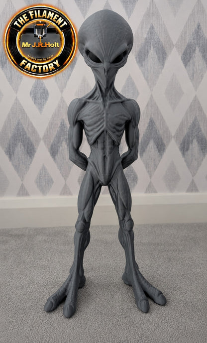The Watcher -Exclusive Grey Alien Statue – 47cm Tall