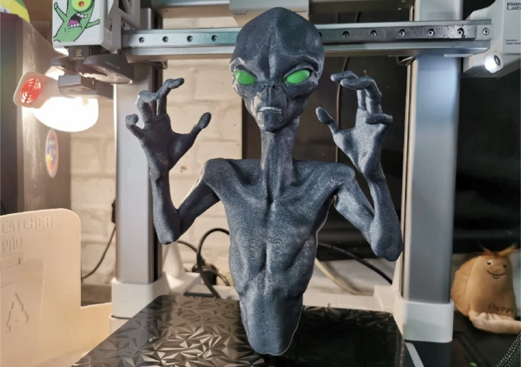 Highly Detailed Custom Grey Alien Bust -Premium 3D Printed Wall Mount UK Seller
