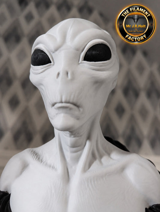 Grey Alien Bust Sculpture –Sci-Fi Extraterrestrial Figure-Large Model-UK seller