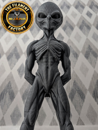 The Watcher -Exclusive Grey Alien Statue – 47cm Tall
